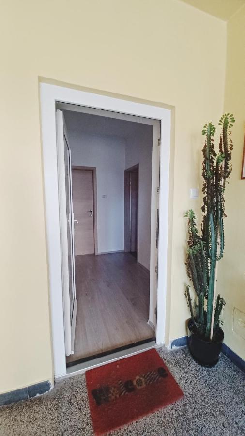 Apartman Dora Pula Exterior foto